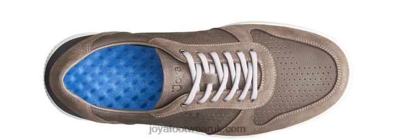 Men Sven Brown Joya 0D80D86